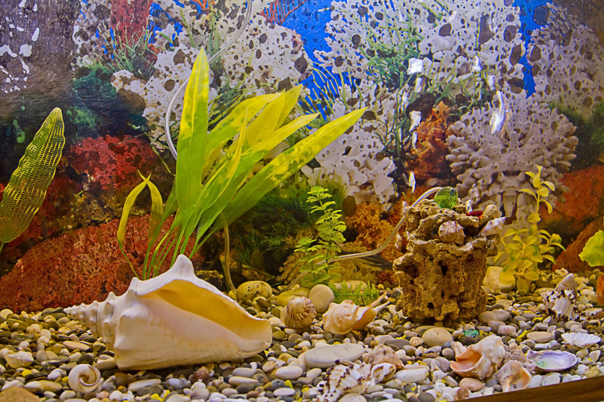 Landscape aquarium